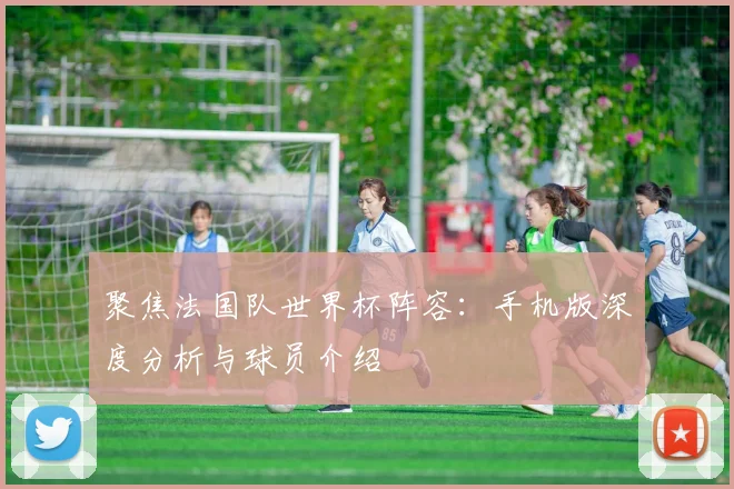 聚焦法国队世界杯阵容：手机版深度分析与球员介绍