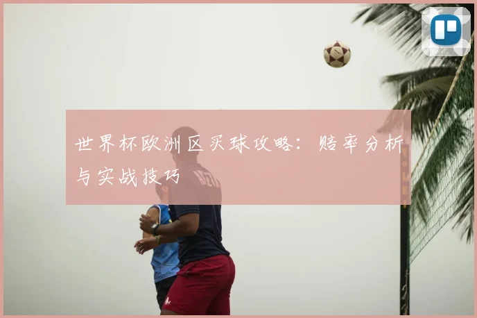 世界杯欧洲区买球攻略：赔率分析与实战技巧
