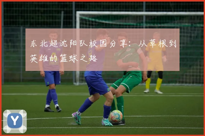 东北超沈阳队校园分享：从草根到英雄的篮球之路